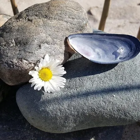 Baltic Sky Appartement *