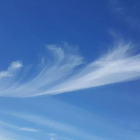 Baltic Sky