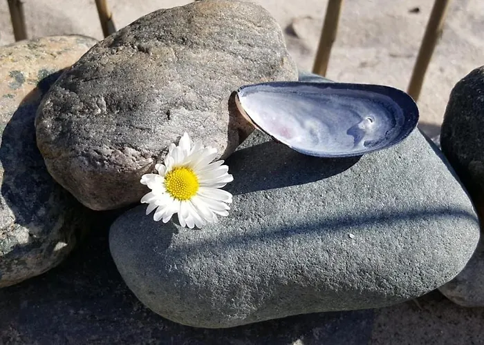 Baltic Sky Apartamento *